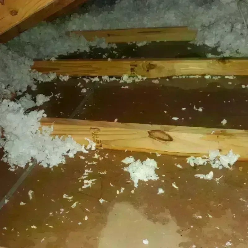 Attic Water Damage in Mercer County, NJ