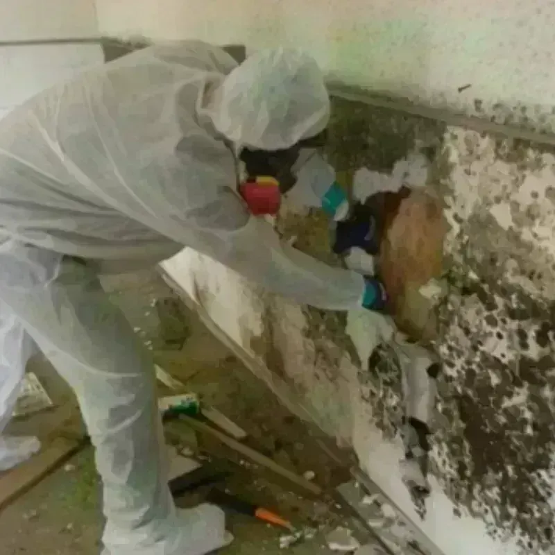 Best Mold Remediation and Removal Service in Mercer County, NJ