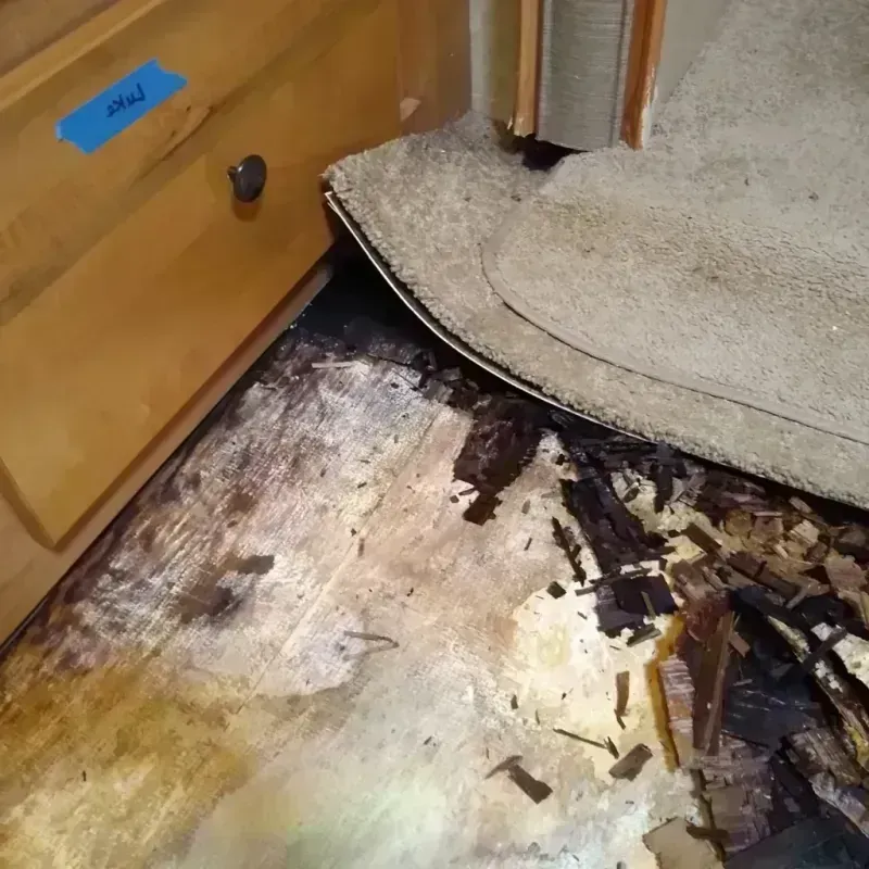 Wood Floor Water Damage in Mercer County, NJ